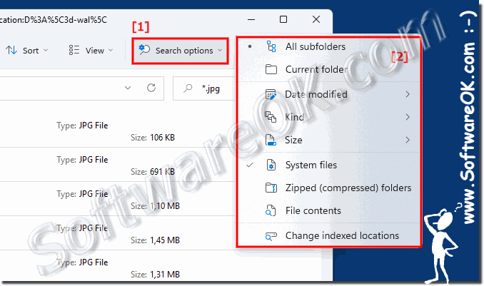 File Explorer search options in Windows 11!