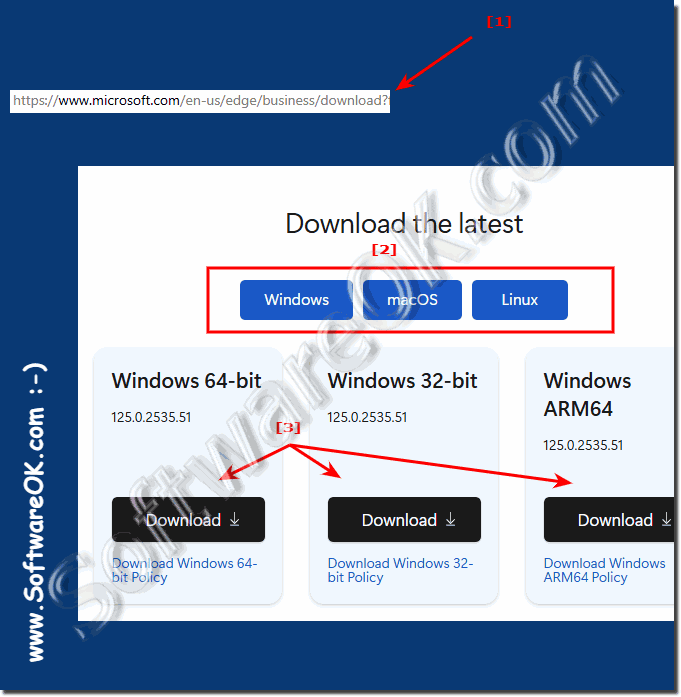 Download Chromium Edge offline installer!