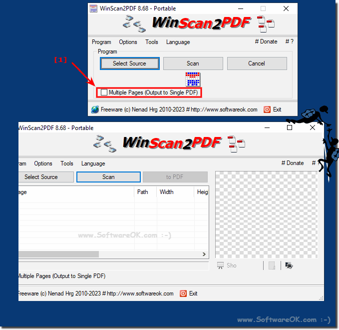 Help, the Windows Size for PDF scan is no longer resizable!