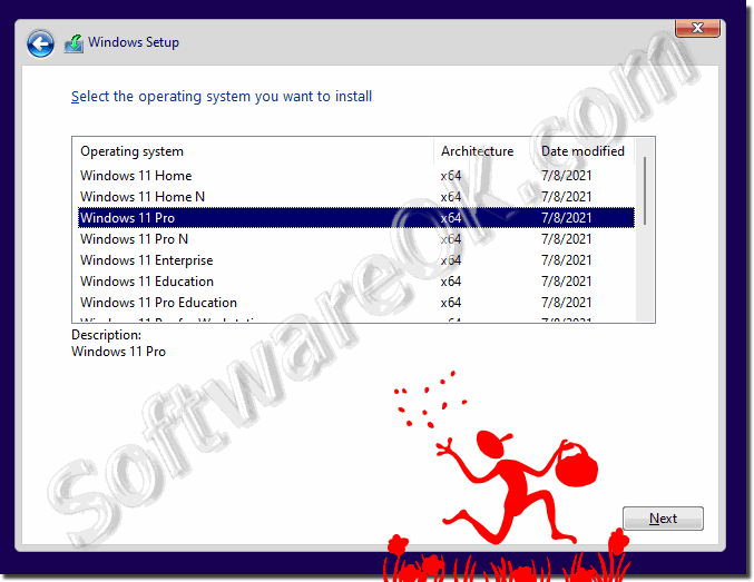 Install the Windows 11 Home, Pro, Enterprise! 