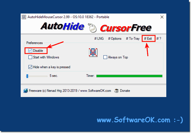 custom cursor disappears windows 10