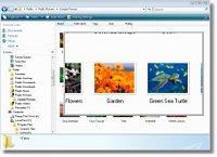 Desktop Screen Magnifier for Windows