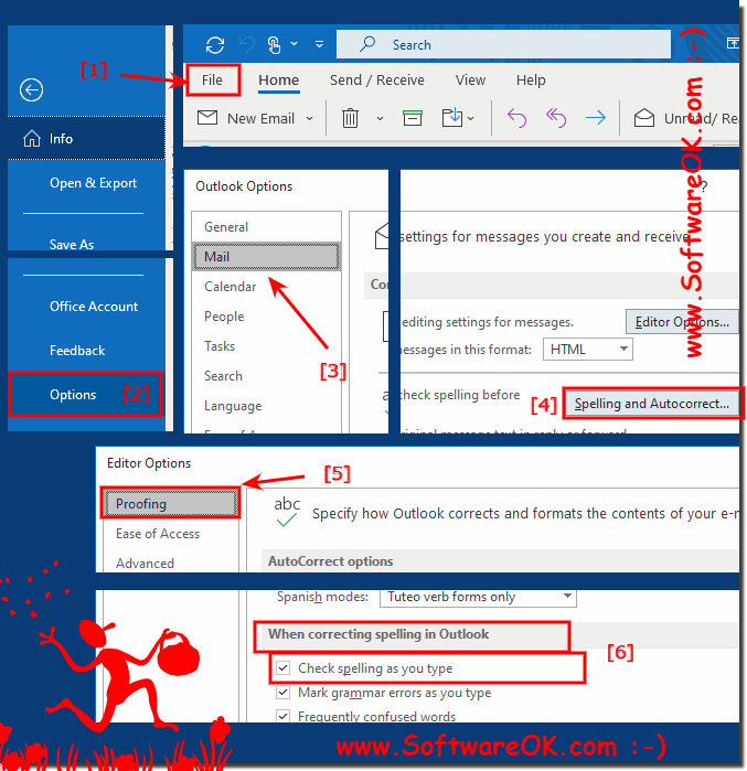 Activate or deactivate the auto spell check in MS Outlook!