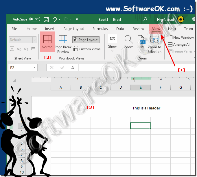 Excel table view normal!