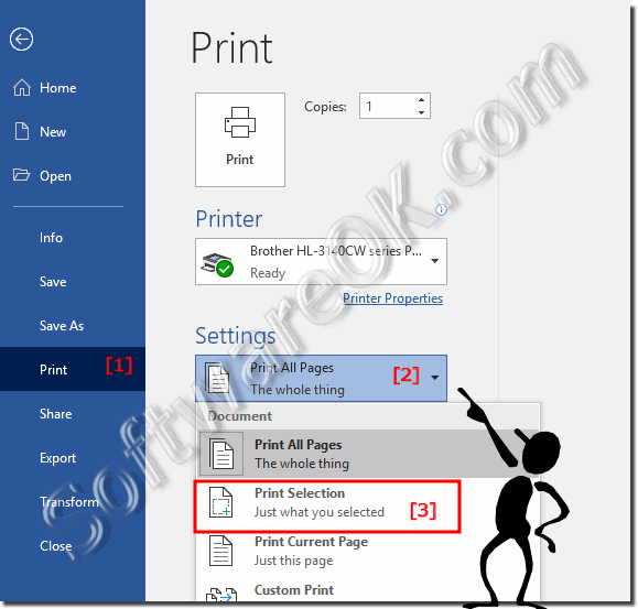 Print only the selected text in Office Word Document!
