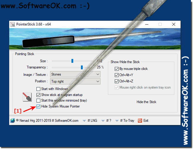 Hide system mouse pointer feature for windows!