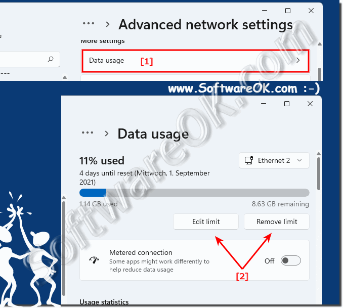 Edit or remove Internet data limit in Windows 11!