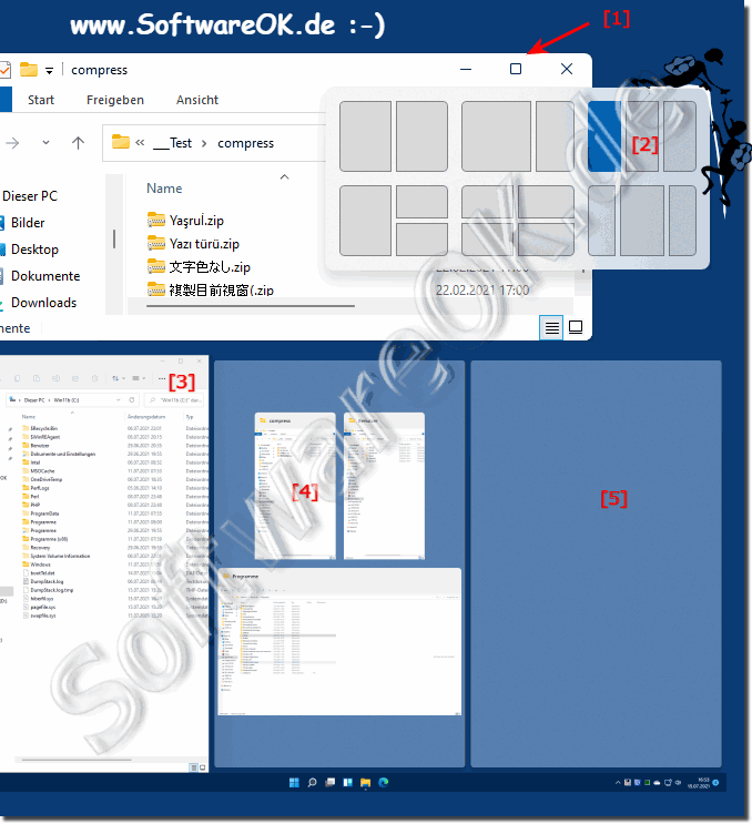 Use the Snap window under Windows 11!