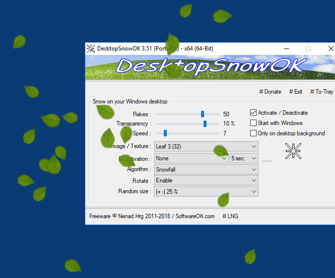 DesktopSnowOK 6.24 for windows instal free